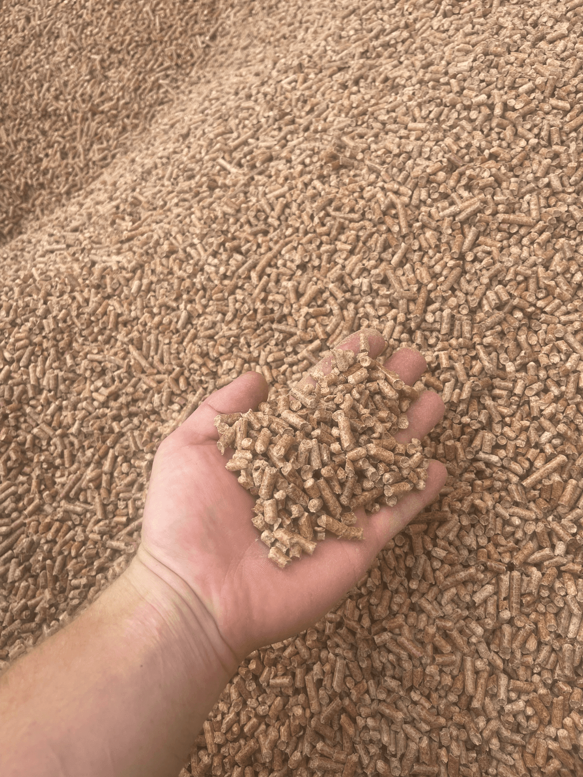 PELLET SOSNOWY USA 6 mm | POPIÓŁ TYLKO 0,15% | 17,82 MJ/kg | WORKI 15 KG